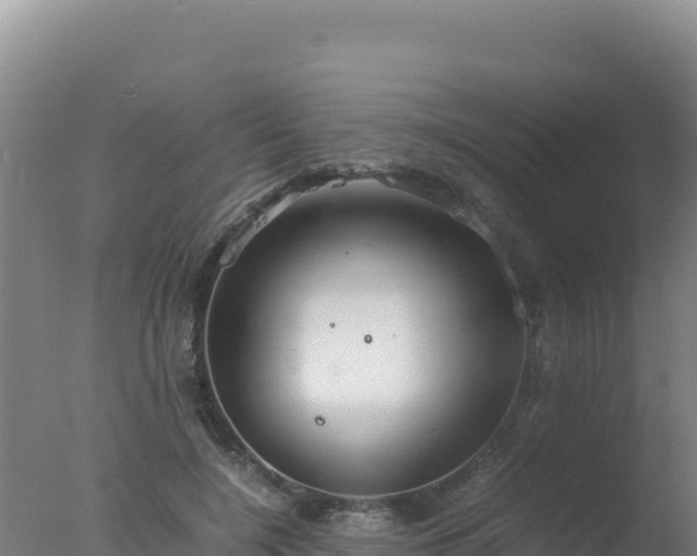 X0000077360548200610271857