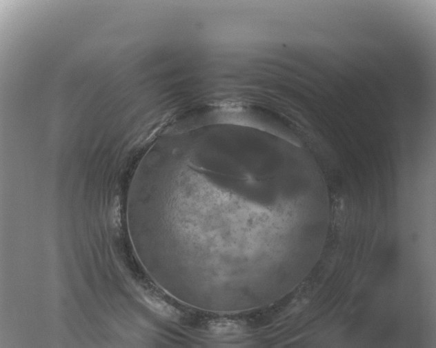 X0000077360549200610271857