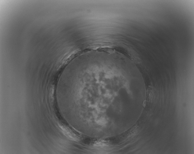 X0000077360550200610271857