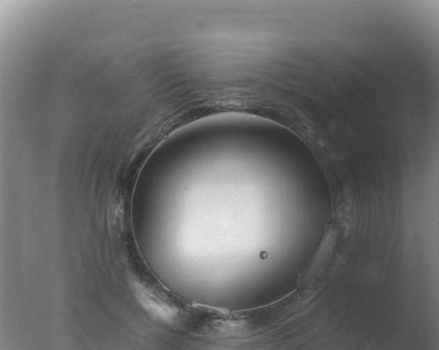 X0000077360552200610271857