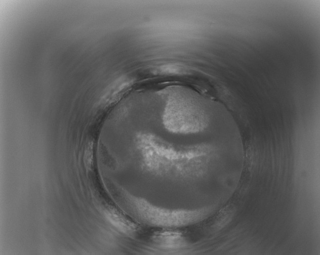 X0000077360554200610271857