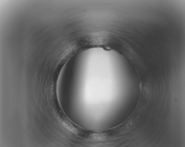 X0000077360556200610271857