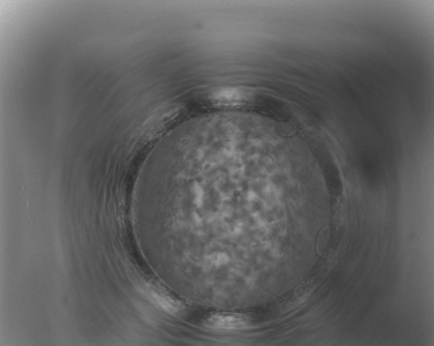 X0000077360557200610271857