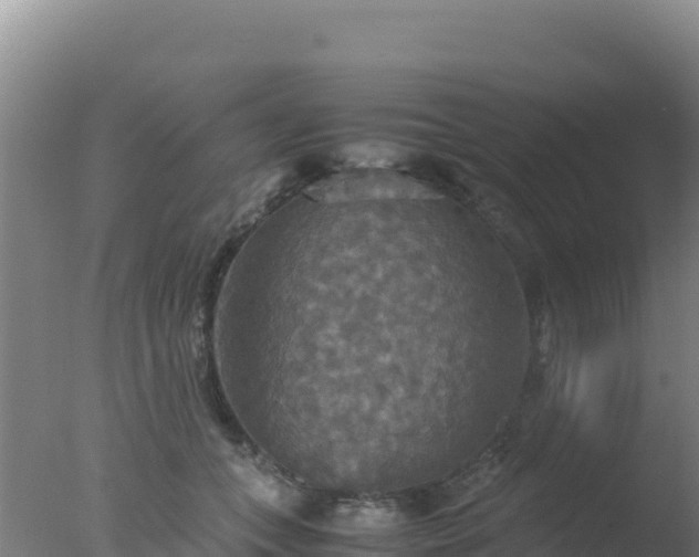 X0000077360559200610271857