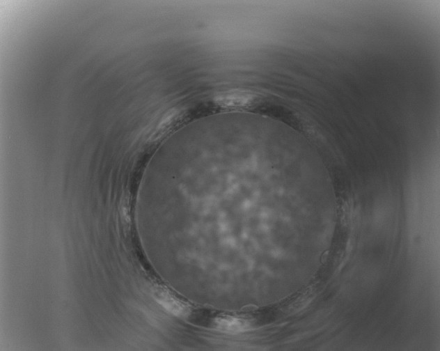 X0000077360561200610271857