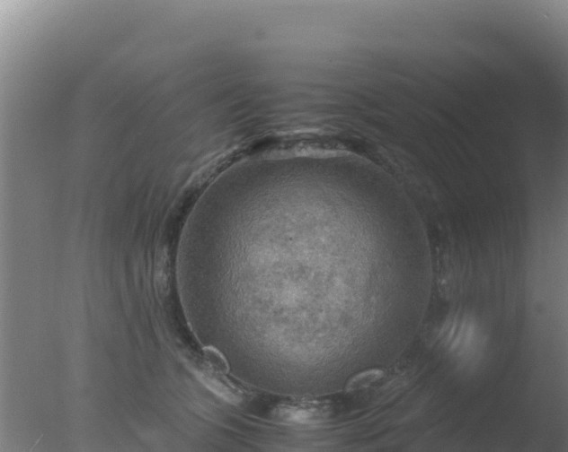 X0000077360563200610271857