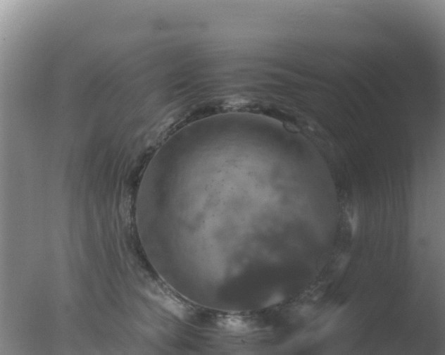 X0000077360565200610271857