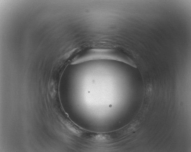 X0000077360566200610271857