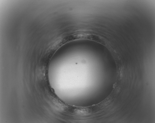 X0000077360567200610271857