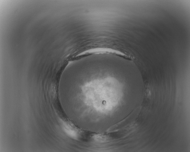 X0000077360568200610271857