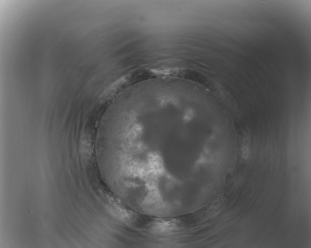 X0000077360569200610271857