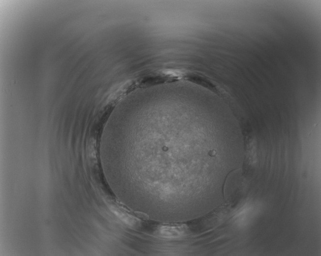 X0000077360571200610271857