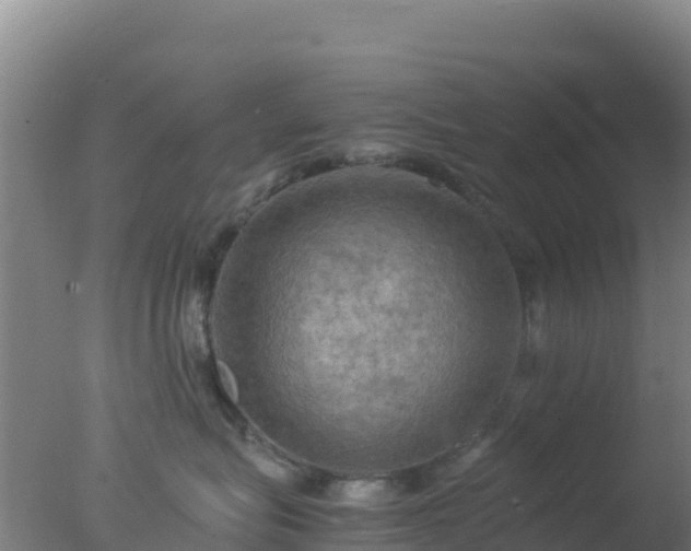 X0000077360575200610271857