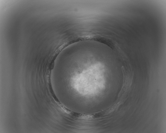 X0000077360576200610271857