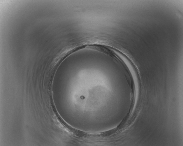 X0000077360577200610271856