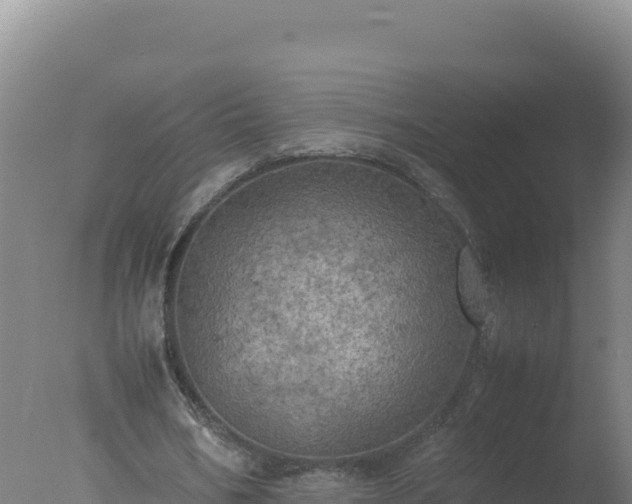 X0000077360578200610271856