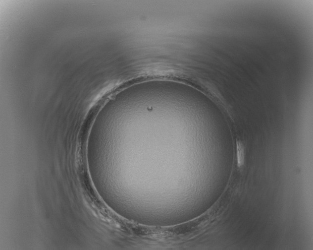 X0000077360579200610271856