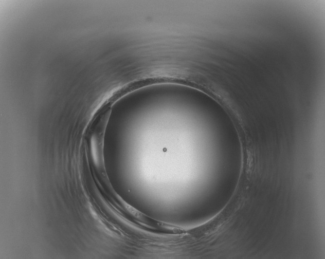 X0000077360580200610271856