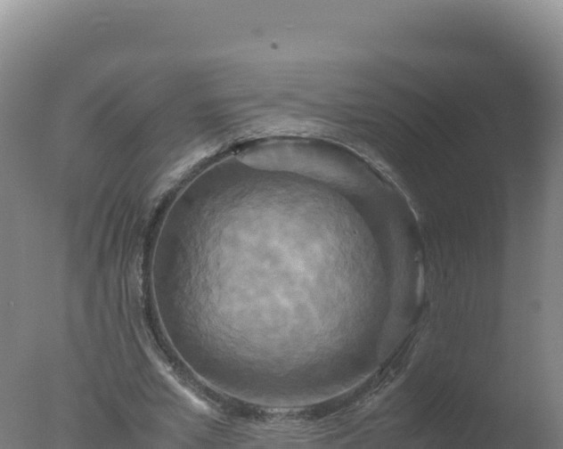 X0000077360581200610271856