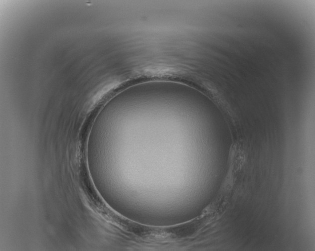 X0000077360583200610271856