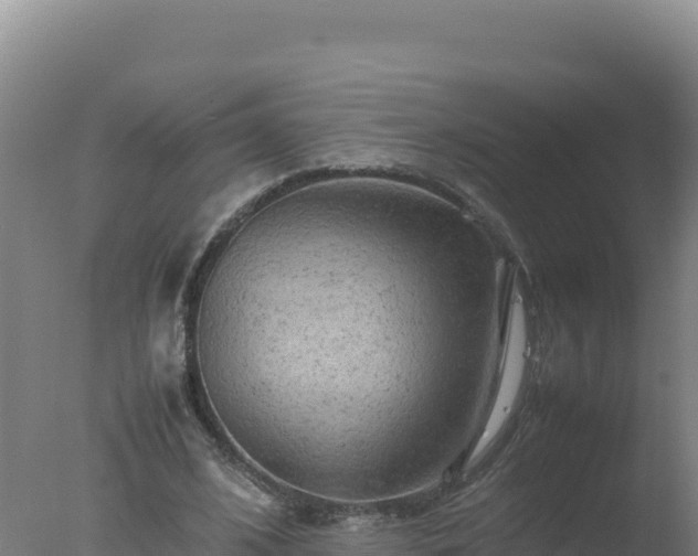 X0000077360584200610271856