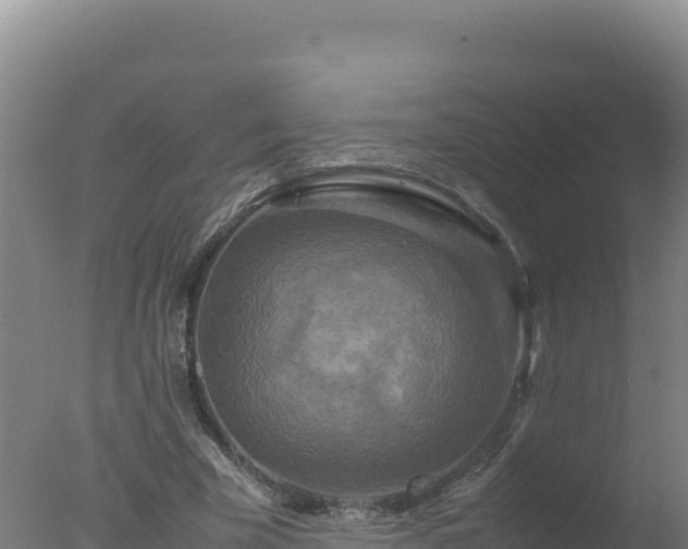 X0000077360585200610271856