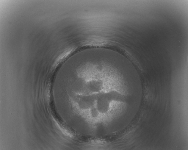 X0000077360586200610271856