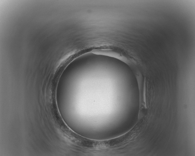 X0000077360587200610271856