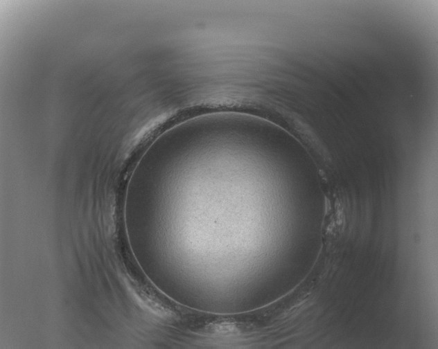 X0000077360588200610271856