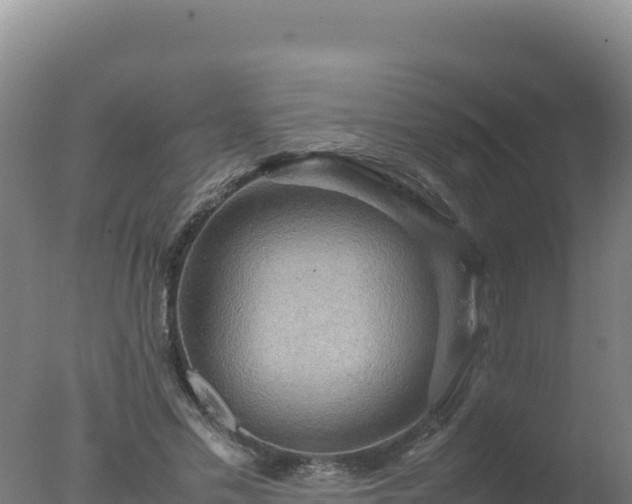 X0000077360589200610271856