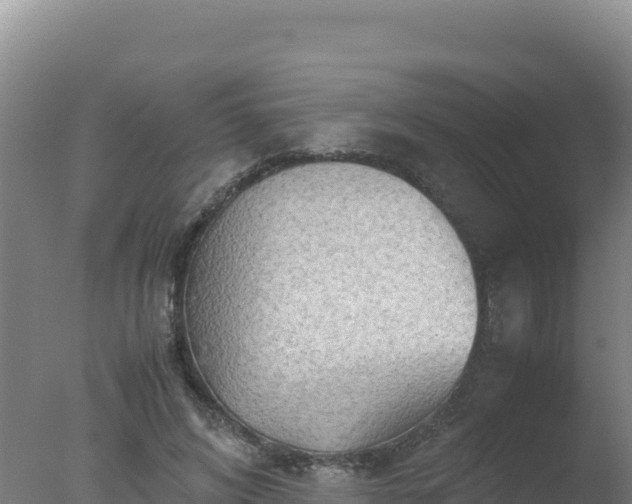 X0000077360592200610271856