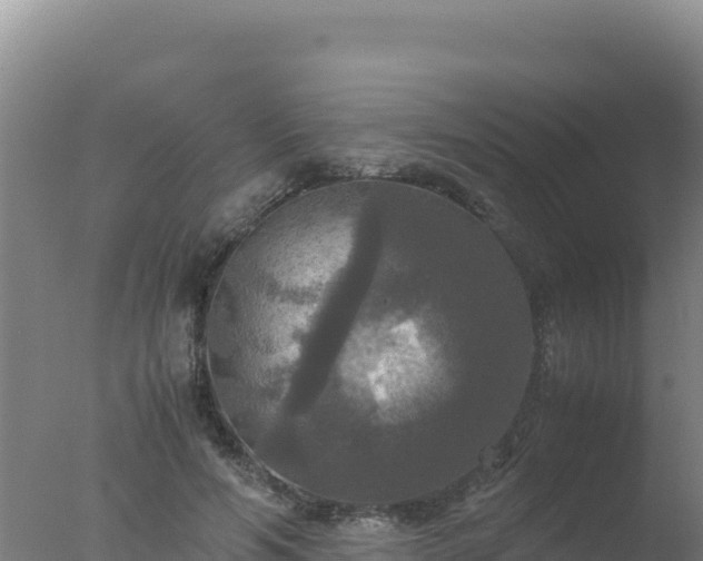 X0000077360594200610271856