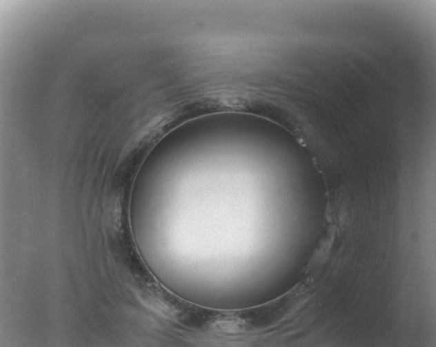 X0000077360595200610271856