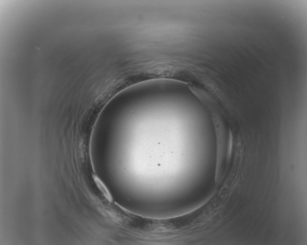 X0000077360597200610271856