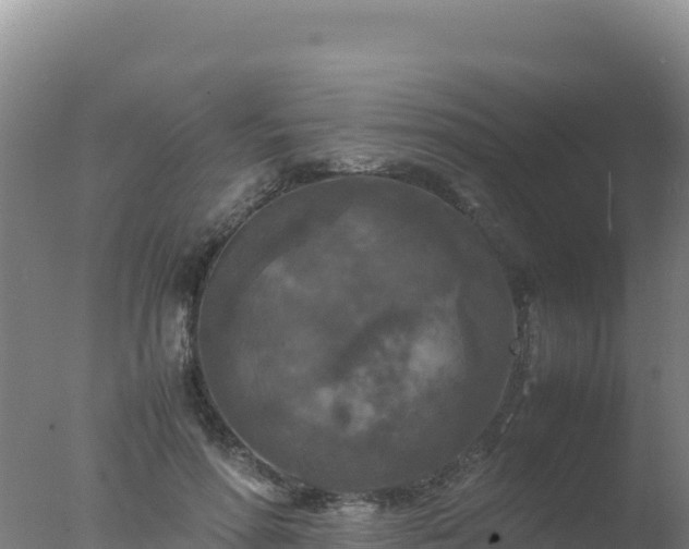 X0000077360598200610271856