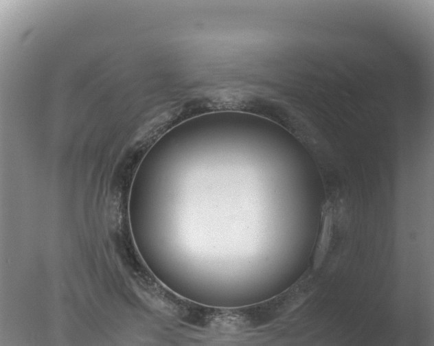 X0000077360599200610271856