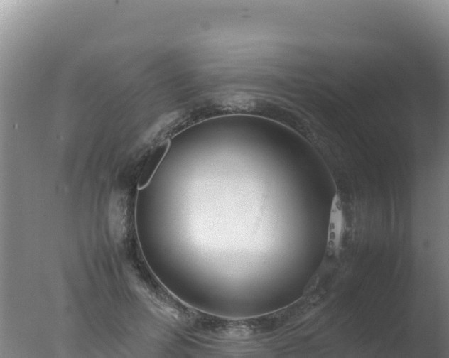 X0000077360600200610271856