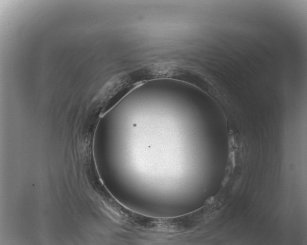 X0000077360601200610271856