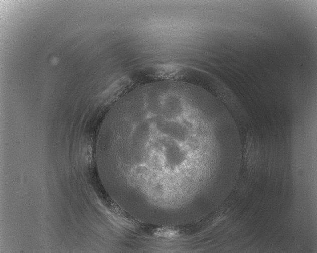 X0000077360602200610271856