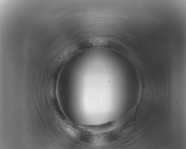 X0000077360604200610271856