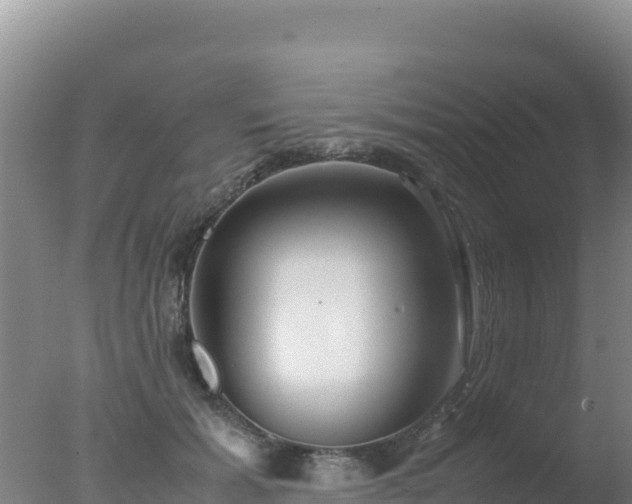 X0000077360605200610271856