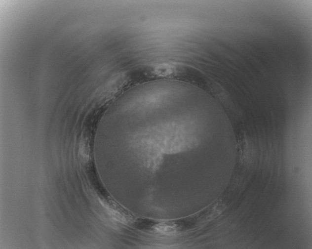 X0000077360606200610271856