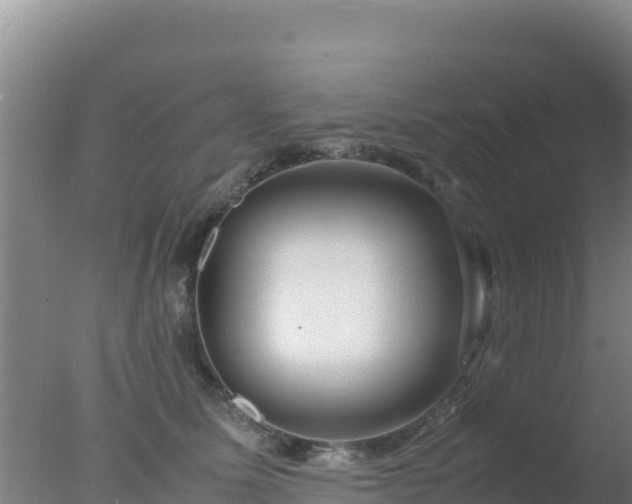 X0000077360611200610271856