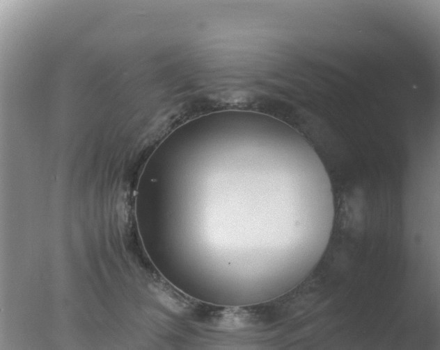 X0000077360612200610271856