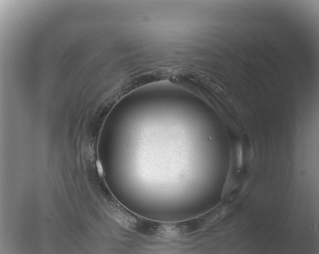 X0000077360613200610271856