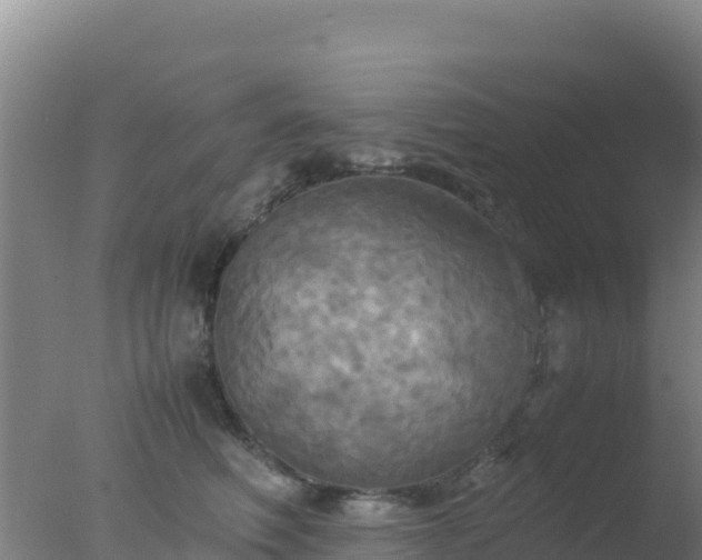 X0000077360614200610271856