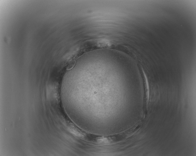 X0000077360616200610271856