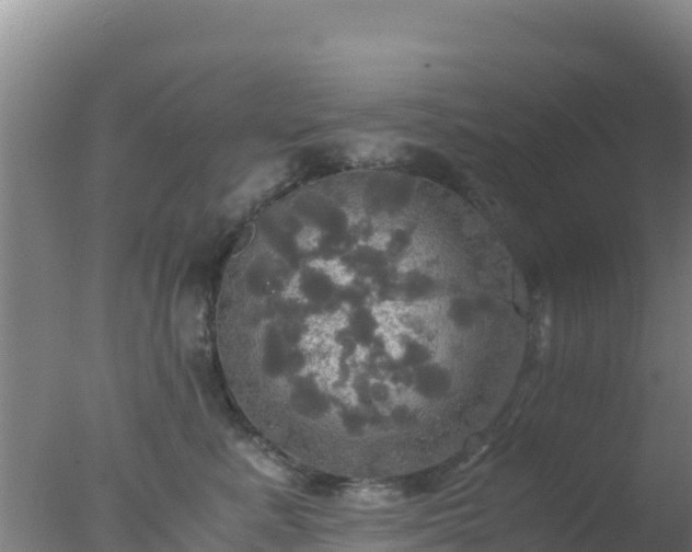 X0000077360619200610271856