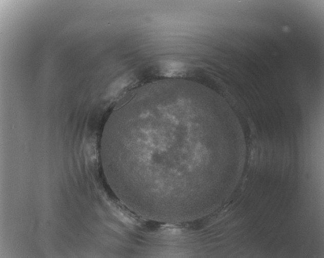 X0000077360620200610271856