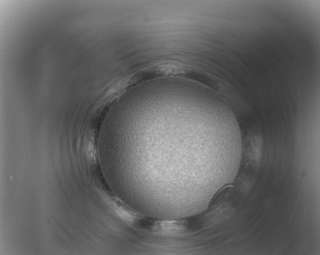 X0000077360622200610271856